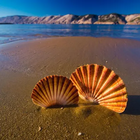 In Palit With Balcony, Wi-fi Palit